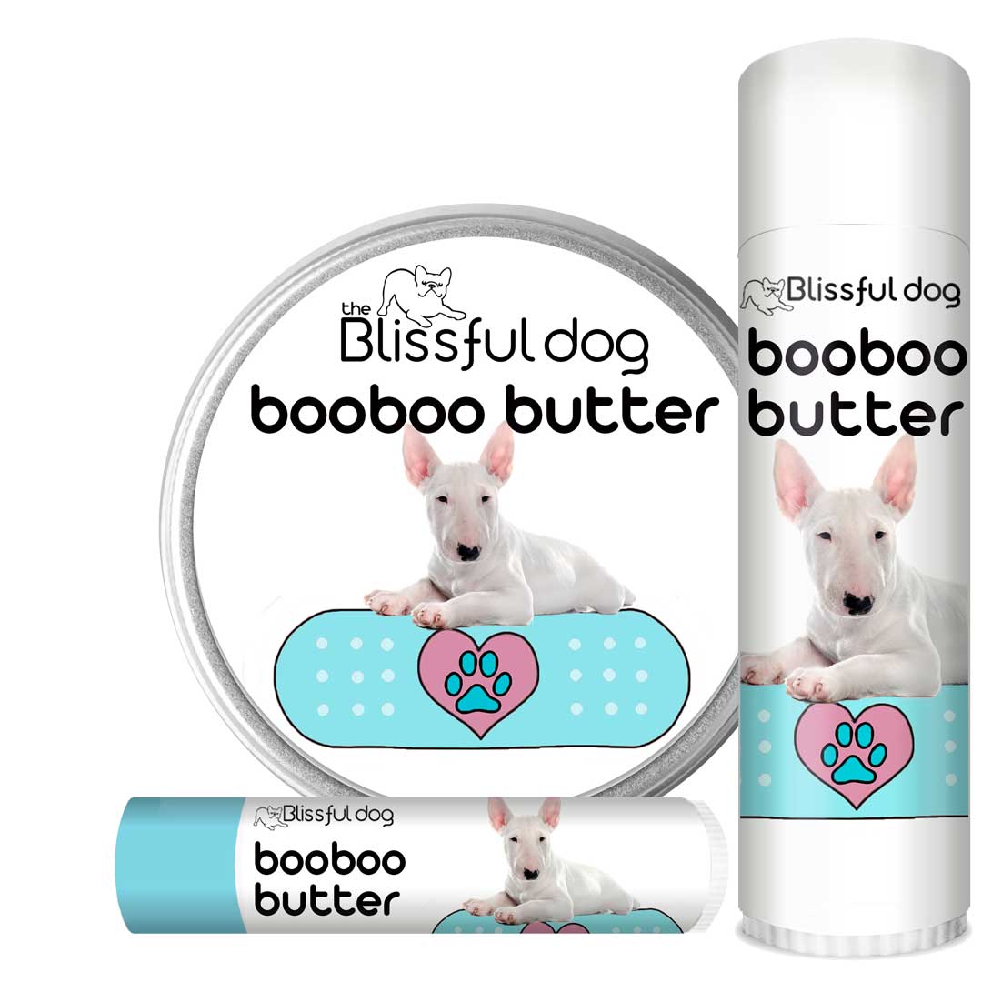 Bull Terrier Boo Boo Butter