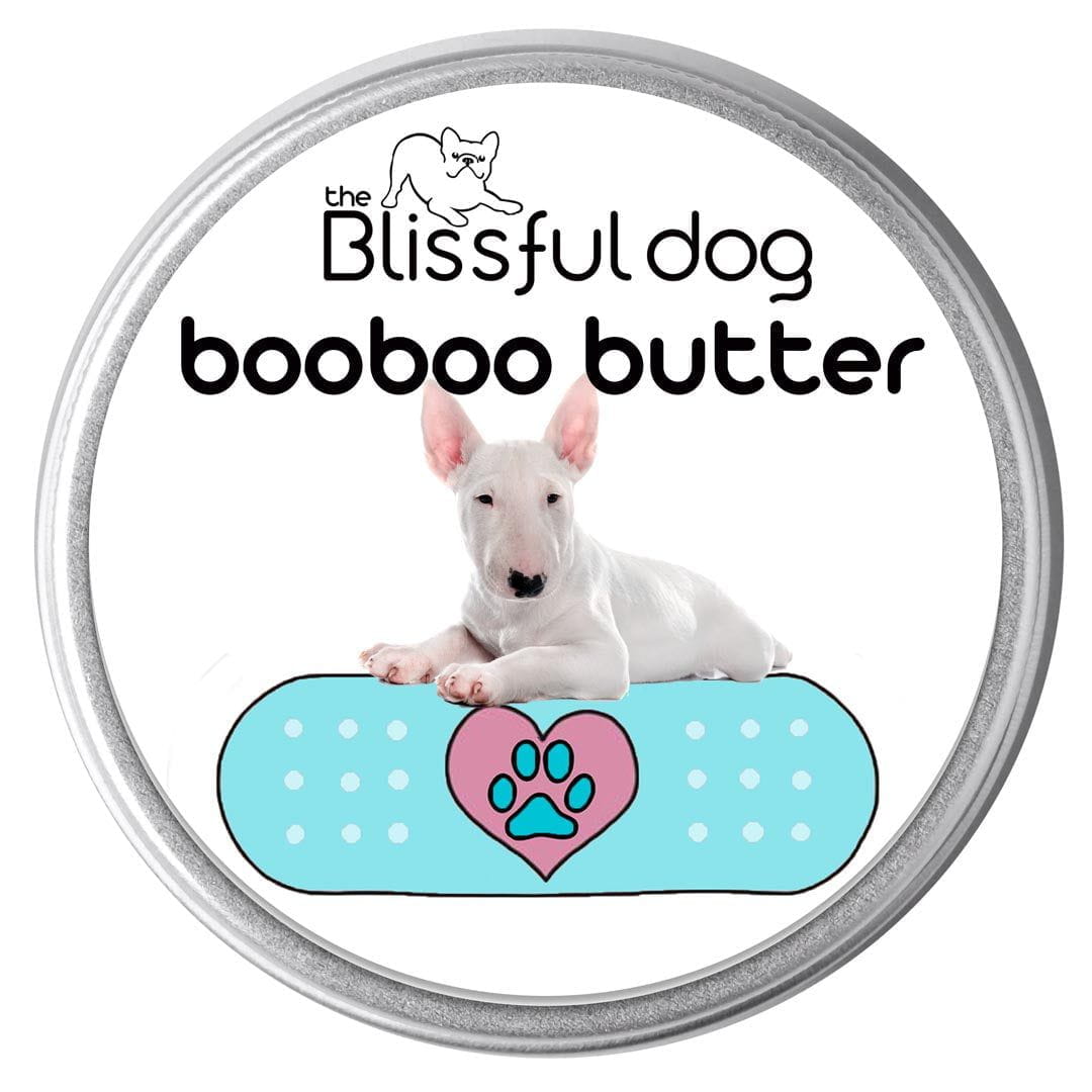 bull terrier skin allergies treatment