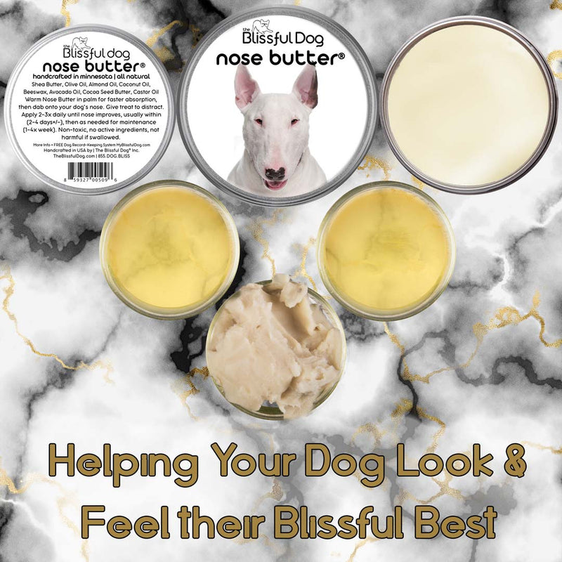 The Blissful Dog Bull Terrier Shop for Dry Noses, Rough Paws & Anxiety