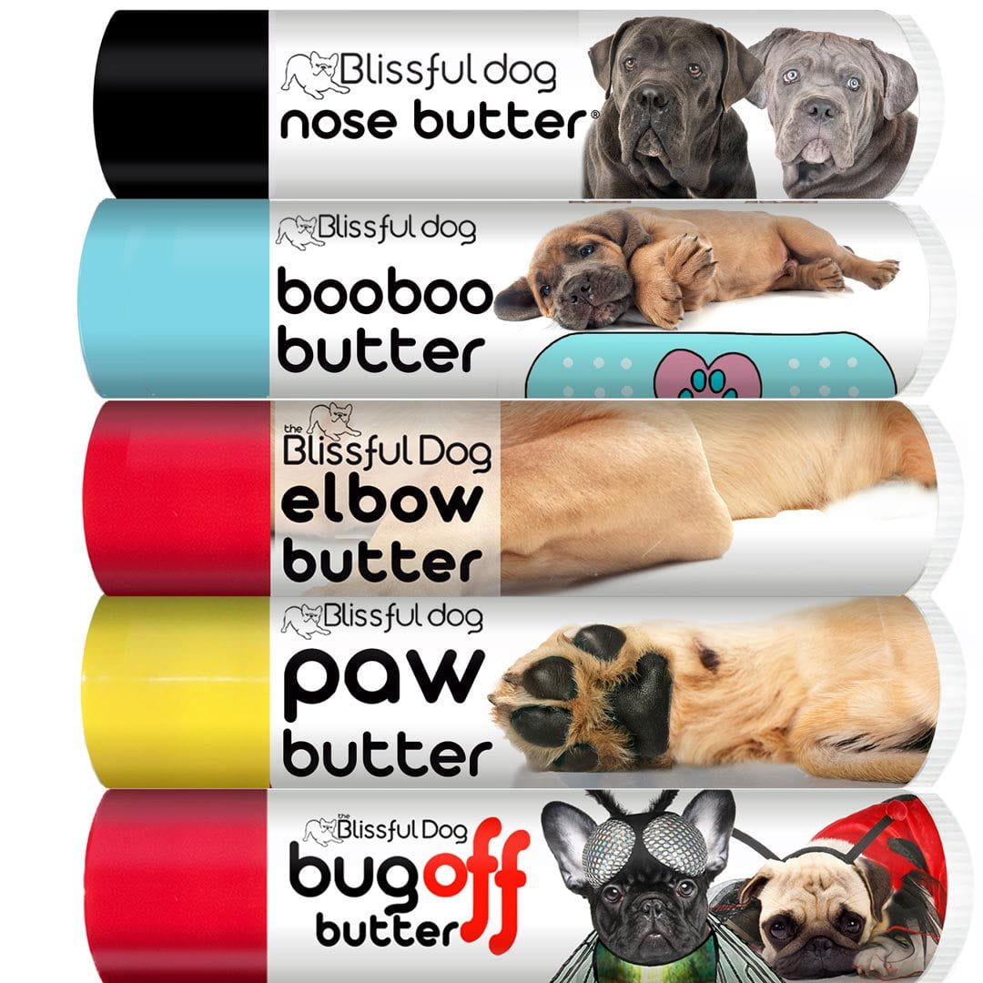 cane corso skin care