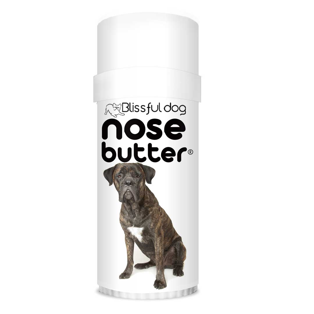Dry cracked hotsell dog nose treatment
