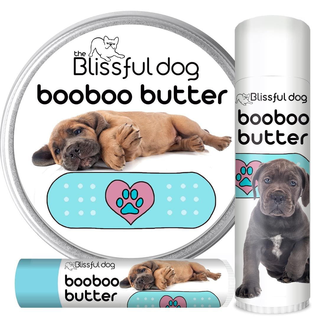 Cane Corso Boo Boo Butter