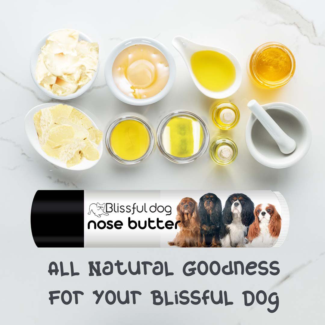 cavalier king charles spaniel nose balm
