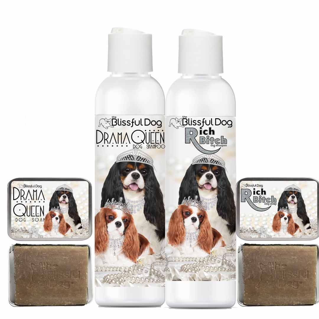 Best shampoo and conditioner for cavalier king charles spaniel 2025