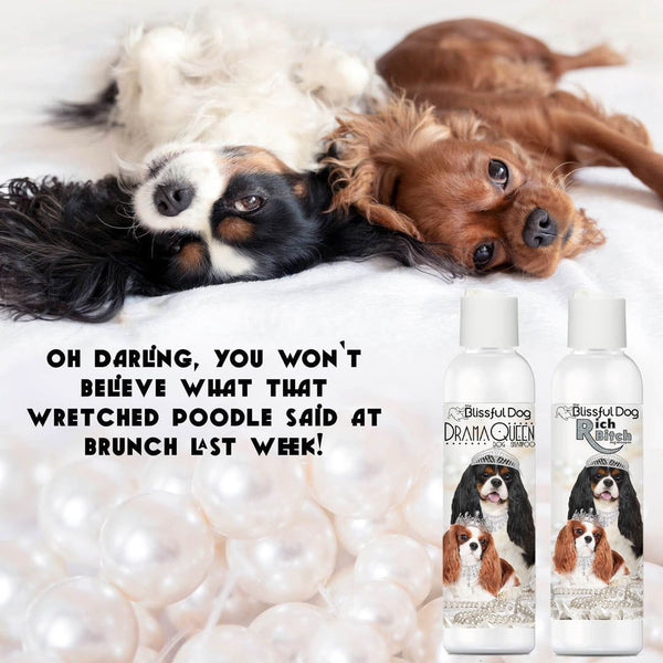 Rich Bitch Drama Queen Luxe Cavalier King Charles Spaniel Shampoo