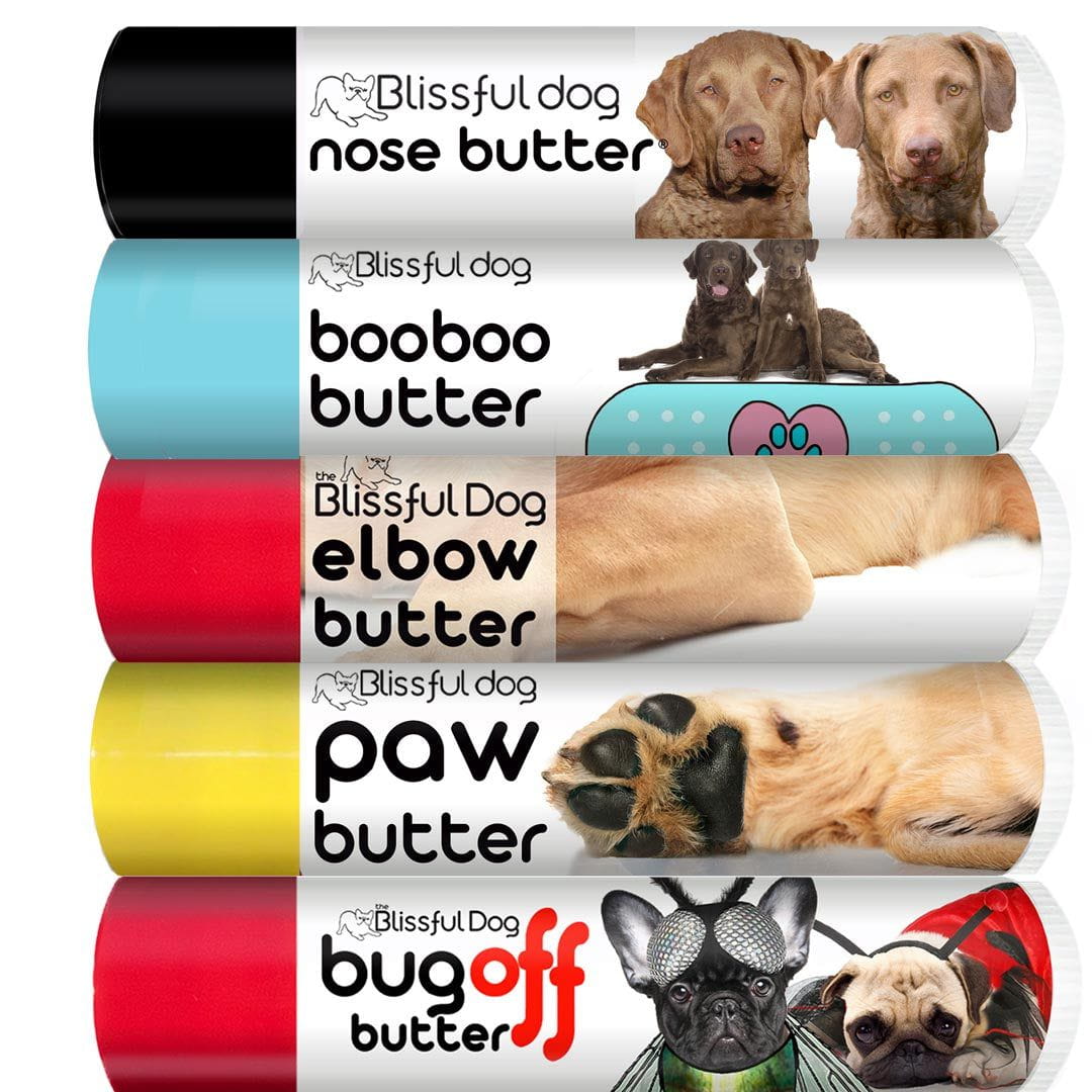 Chesapeake Bay Retriever kit