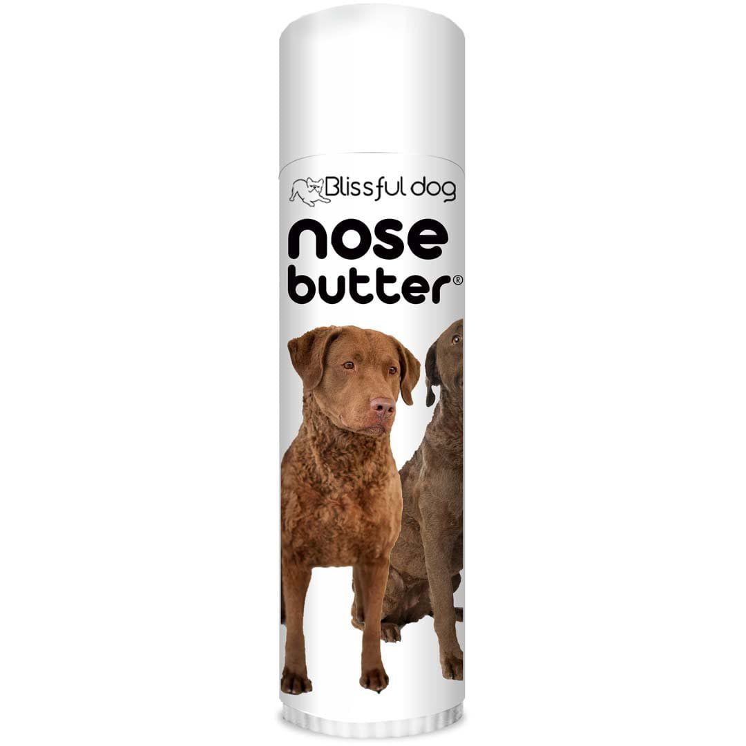 Best shampoo for chesapeake best sale bay retriever
