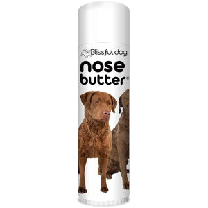 Chesapeake Bay Retriever nose help
