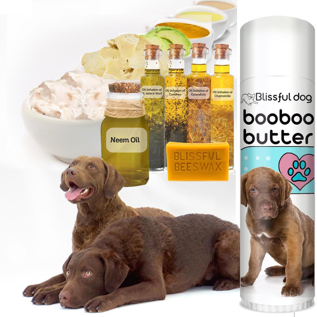 Chesapeake Bay Retriever Boo Boo Butter for Your Dog s Skin Irritation