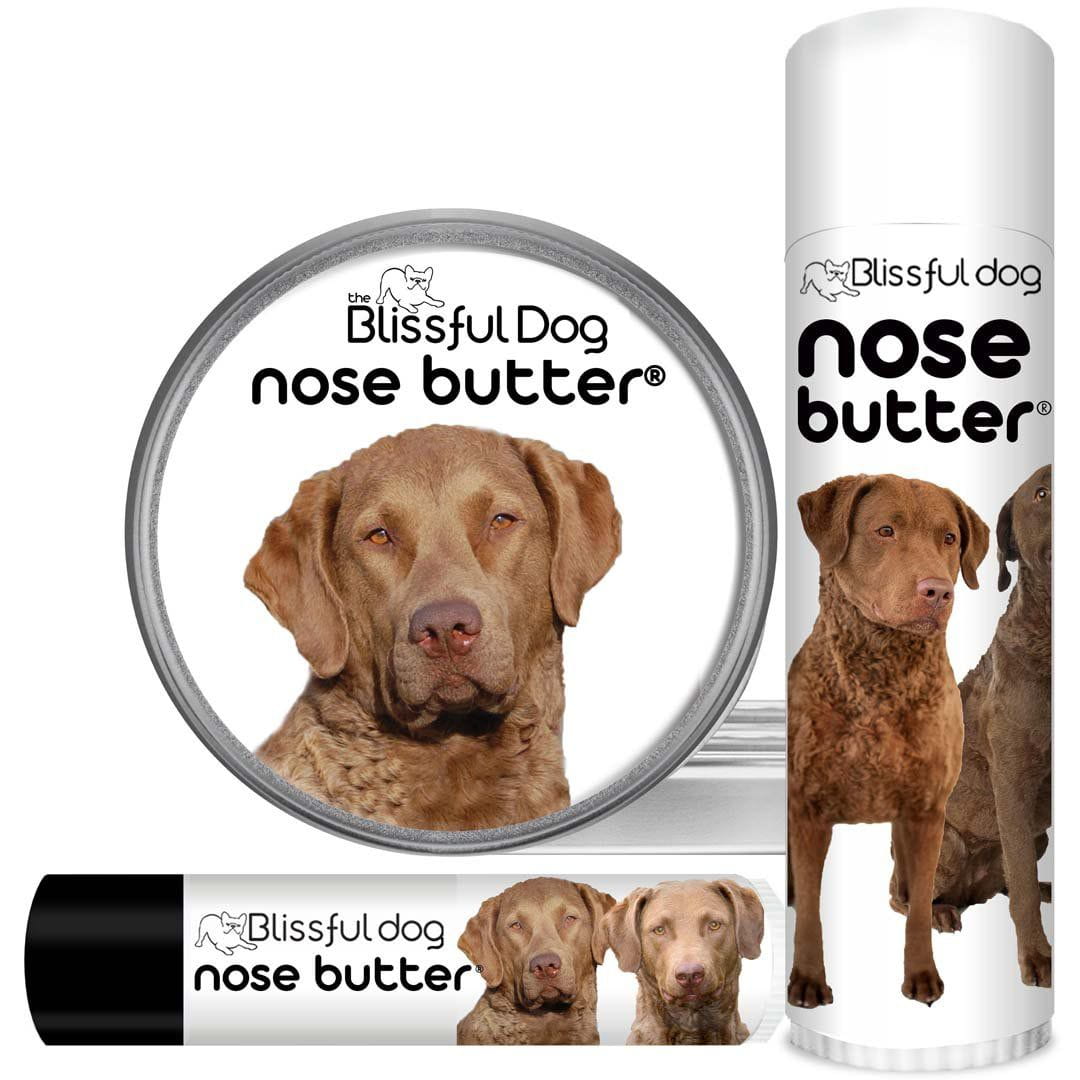 Chesapeake Bay Retriever dry nose help