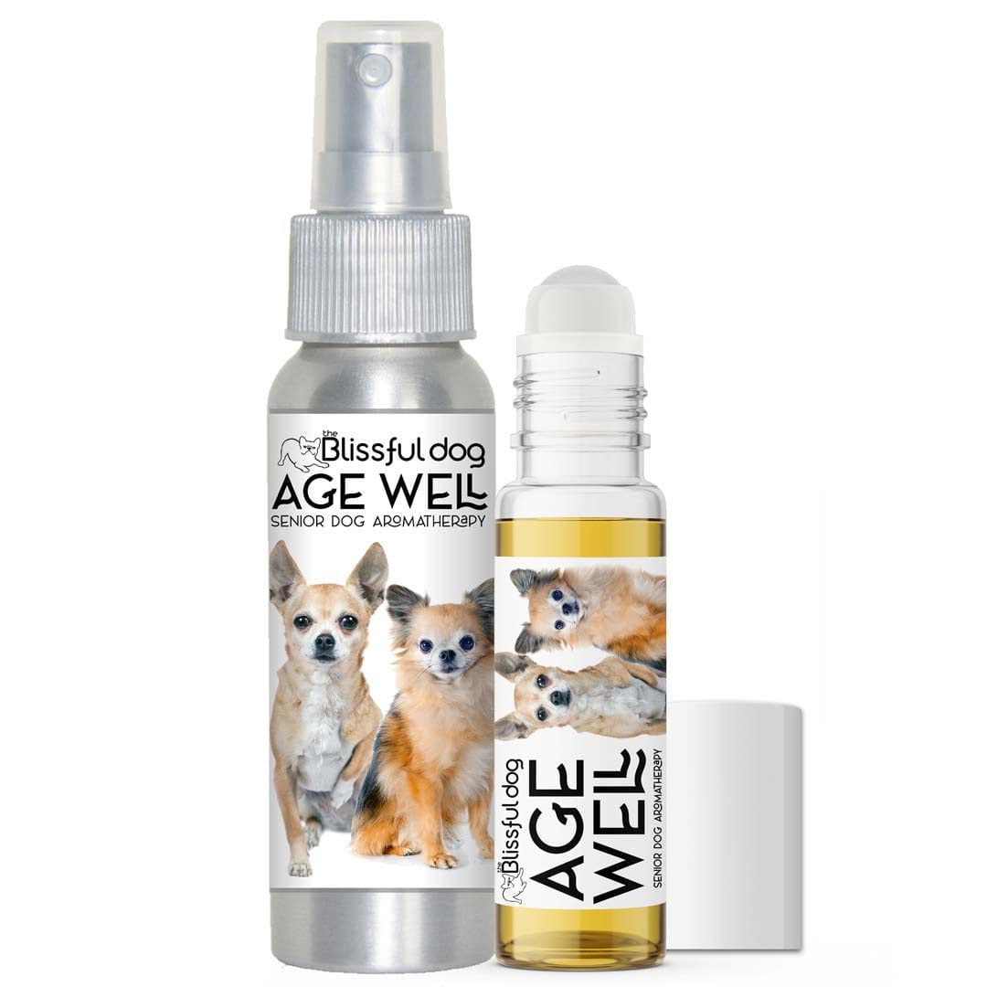 chihuahua senior support