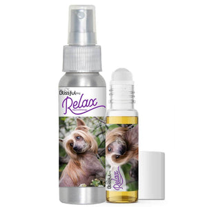 chinese crested relax dog aromatherapy