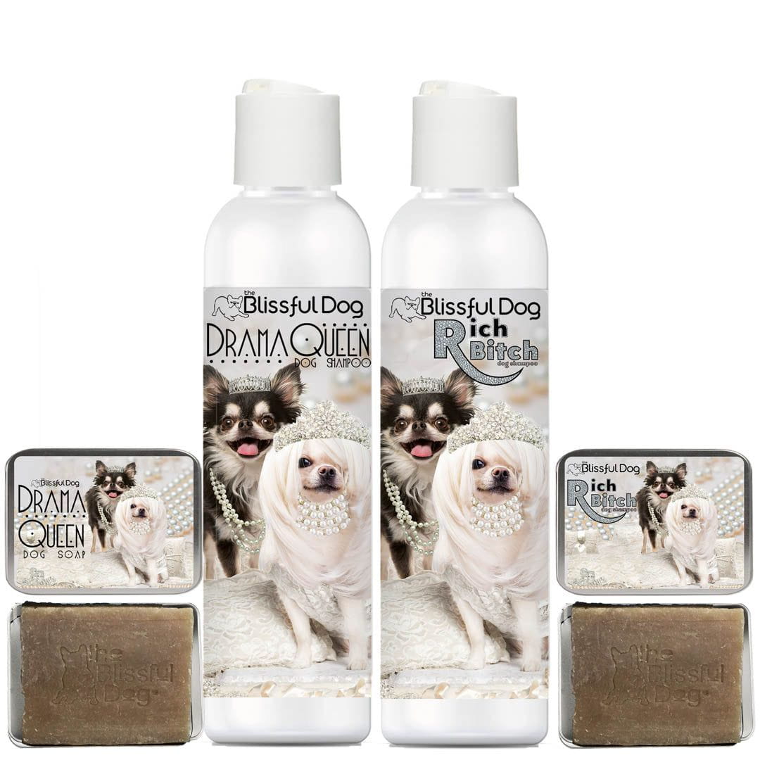 Chihuahua luxury dog Shampoo