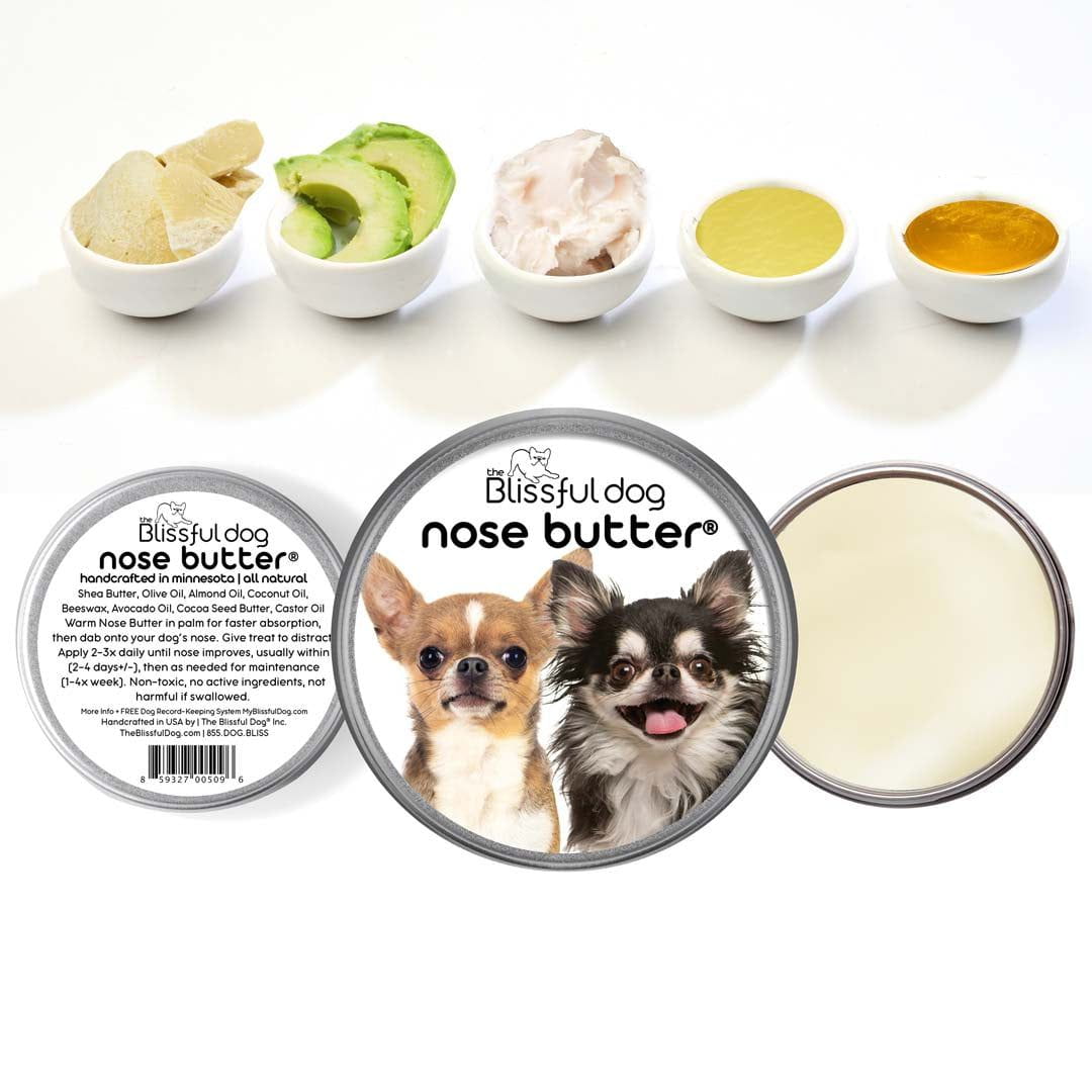 chihuahua nose butter