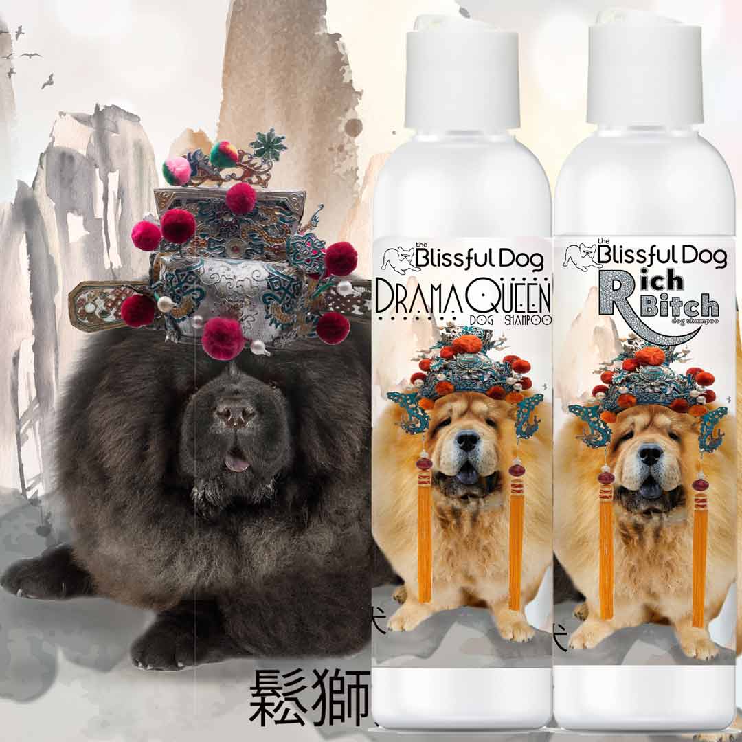 Best shampoo sales for chow chow