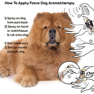 How to Use Chow Focus Dog Aromatherapy