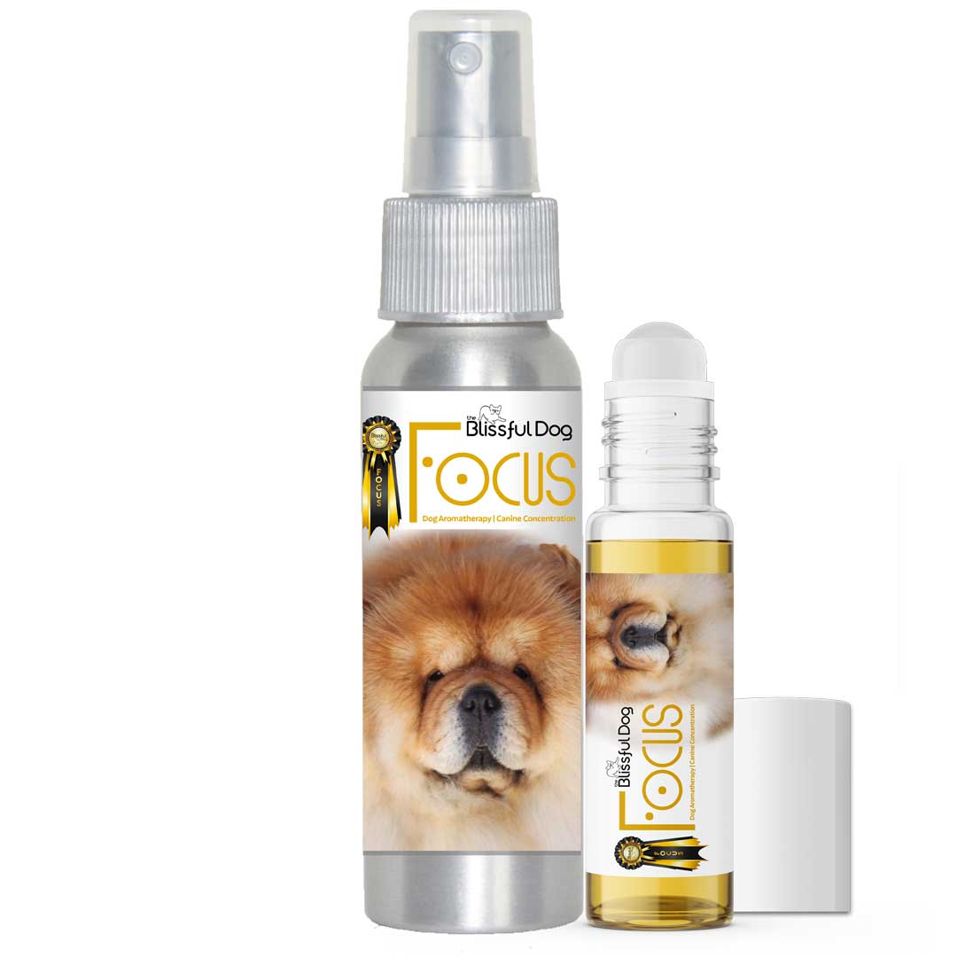 chow dog aromatherapy