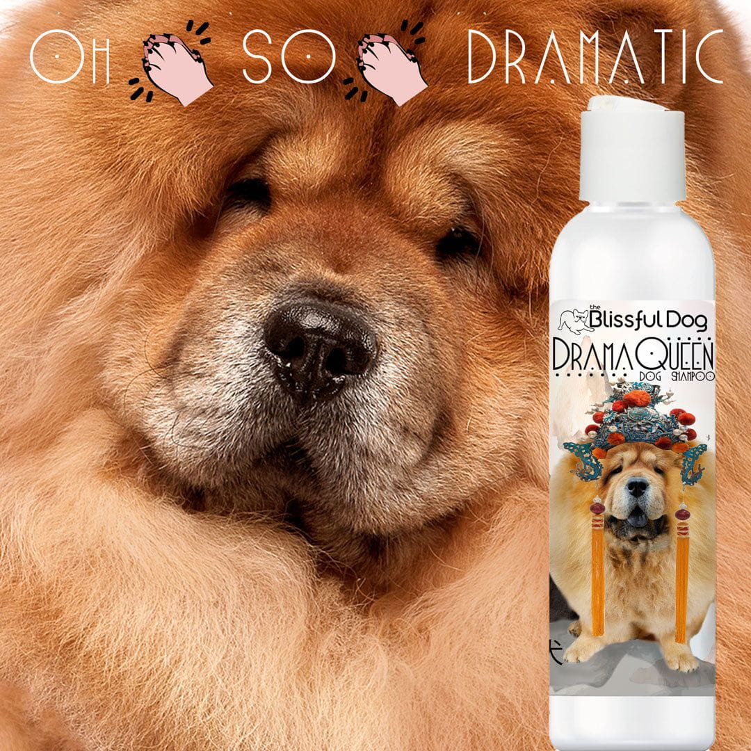 Shampoo for chow chow top