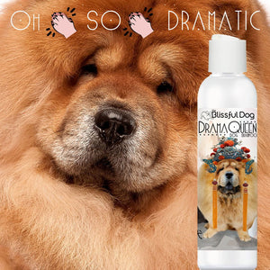 drama queen chow dog shampoo