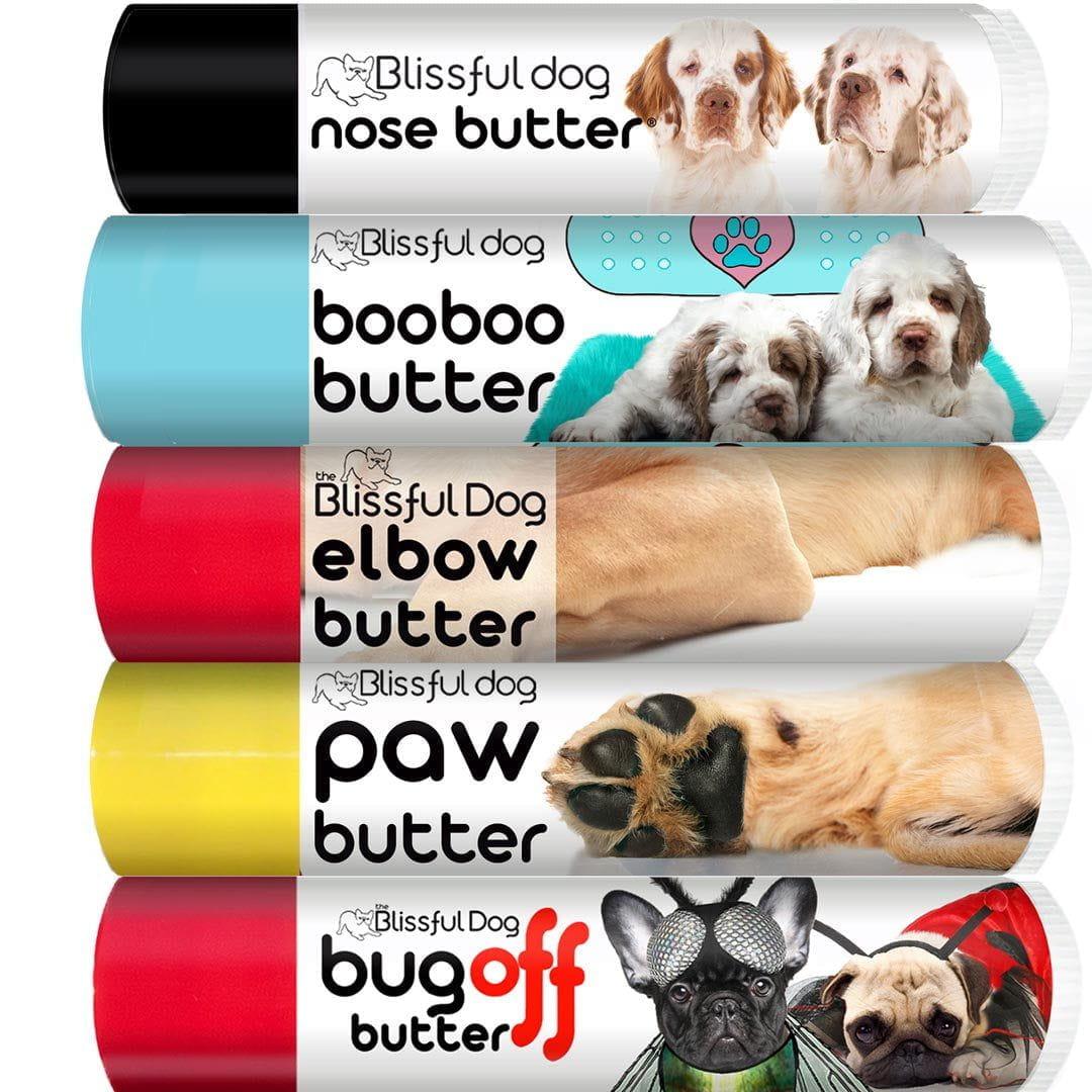 clumber spaniel gift