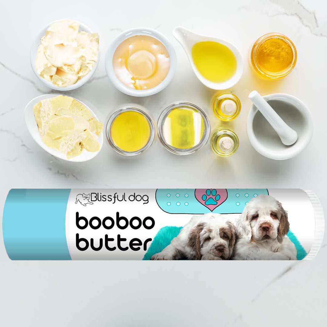 clumber spaniel itchy skin