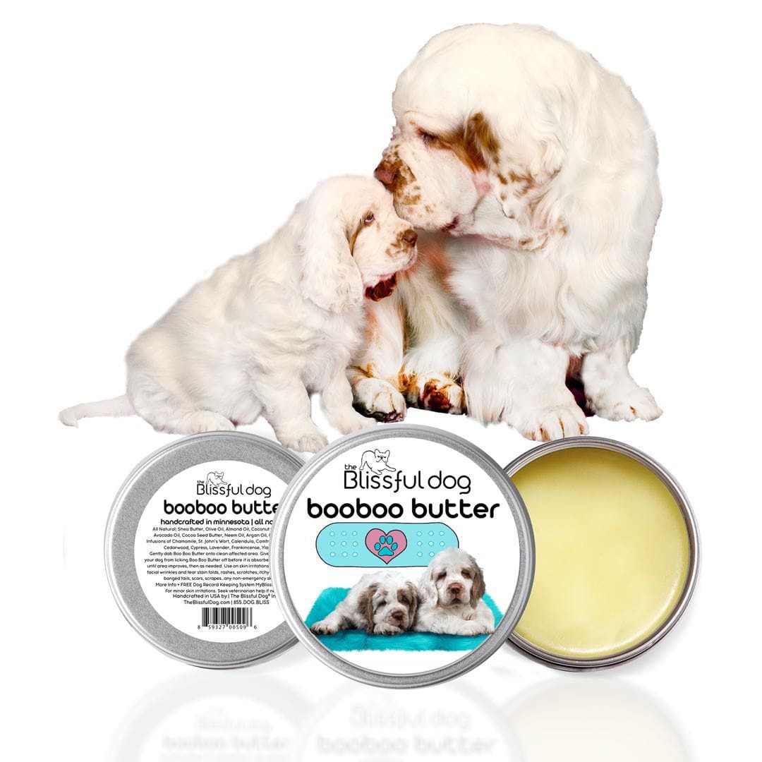 clumber spaniel mom and puppy