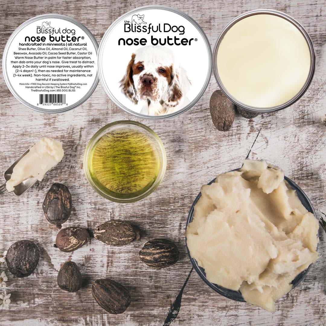 Clumber Spaniel Custom Combo