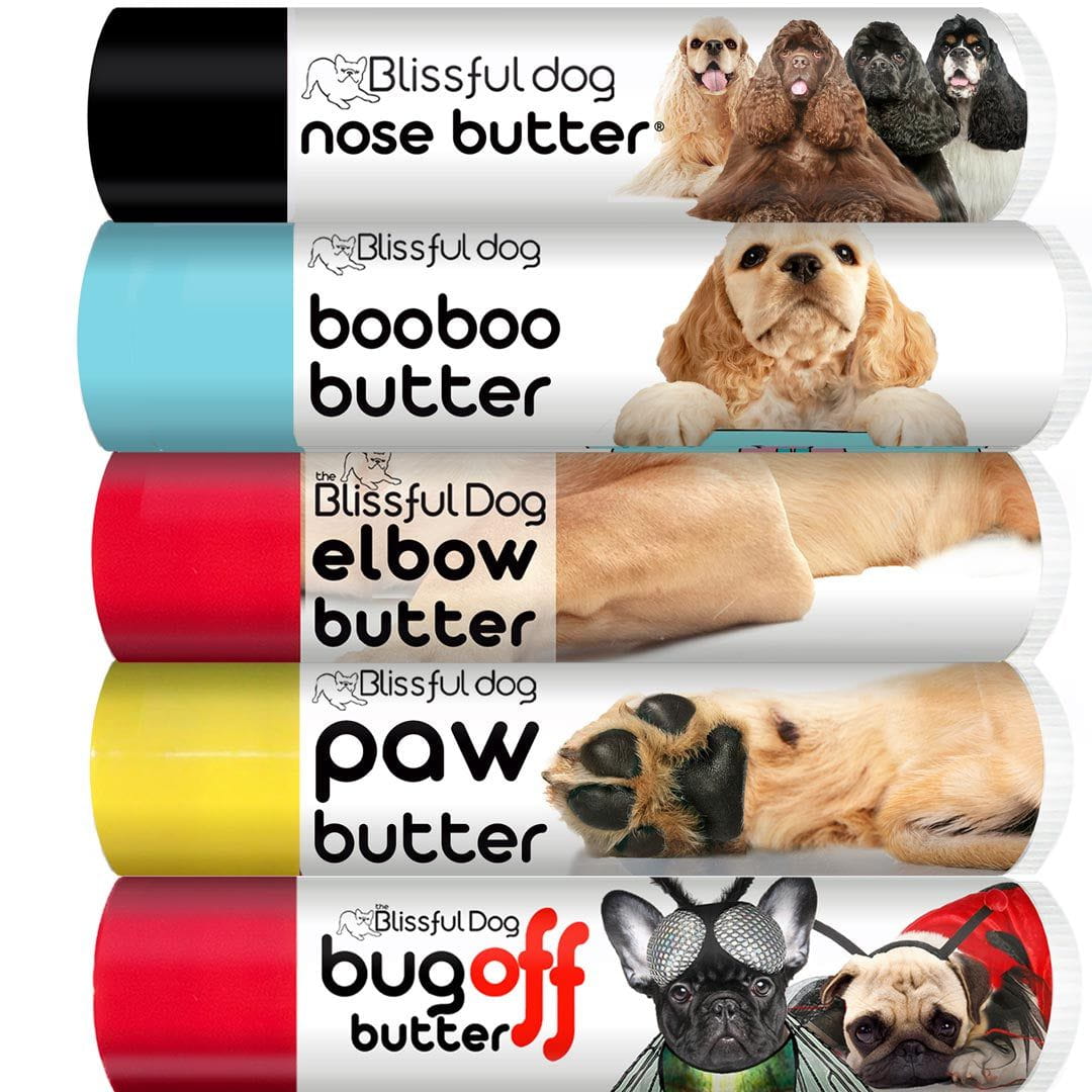 cocker spaniel nose crae kit