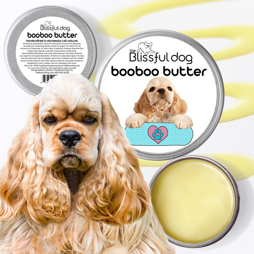 cocker spaniel itchy skin