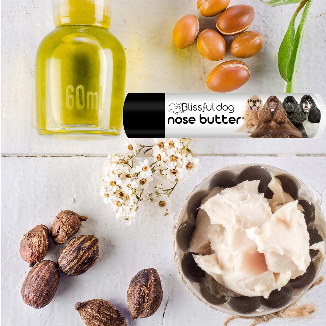 cocker nose balm