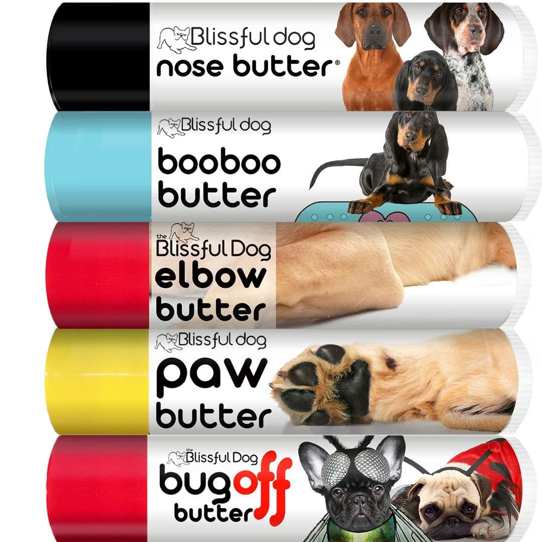 筆記具 BOOWY TM NETWORK TUBE REBECCA HOUND DOG Coonhound Tube Combo for Rough Noses & Paws + Itchy Skin Irritations