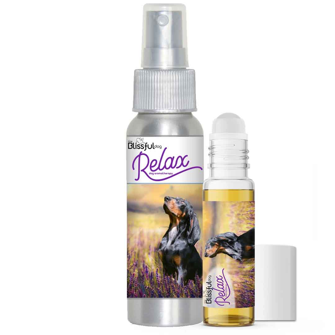 Coonhound RELAX DOG AROMATHERAPY
