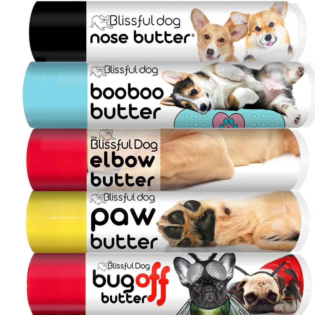 corgi skin care balm