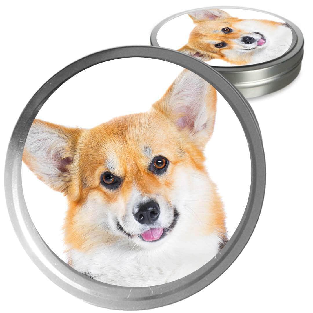 Corgi Custom Combo