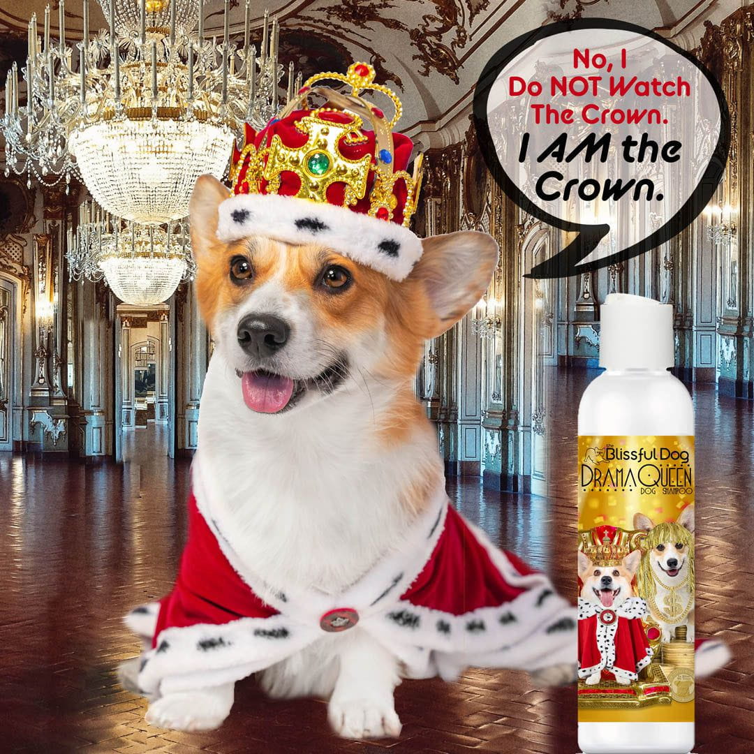 Rich Bitch & Drama Queen Shampoo For Your Canine Royalty The Blissful Dog