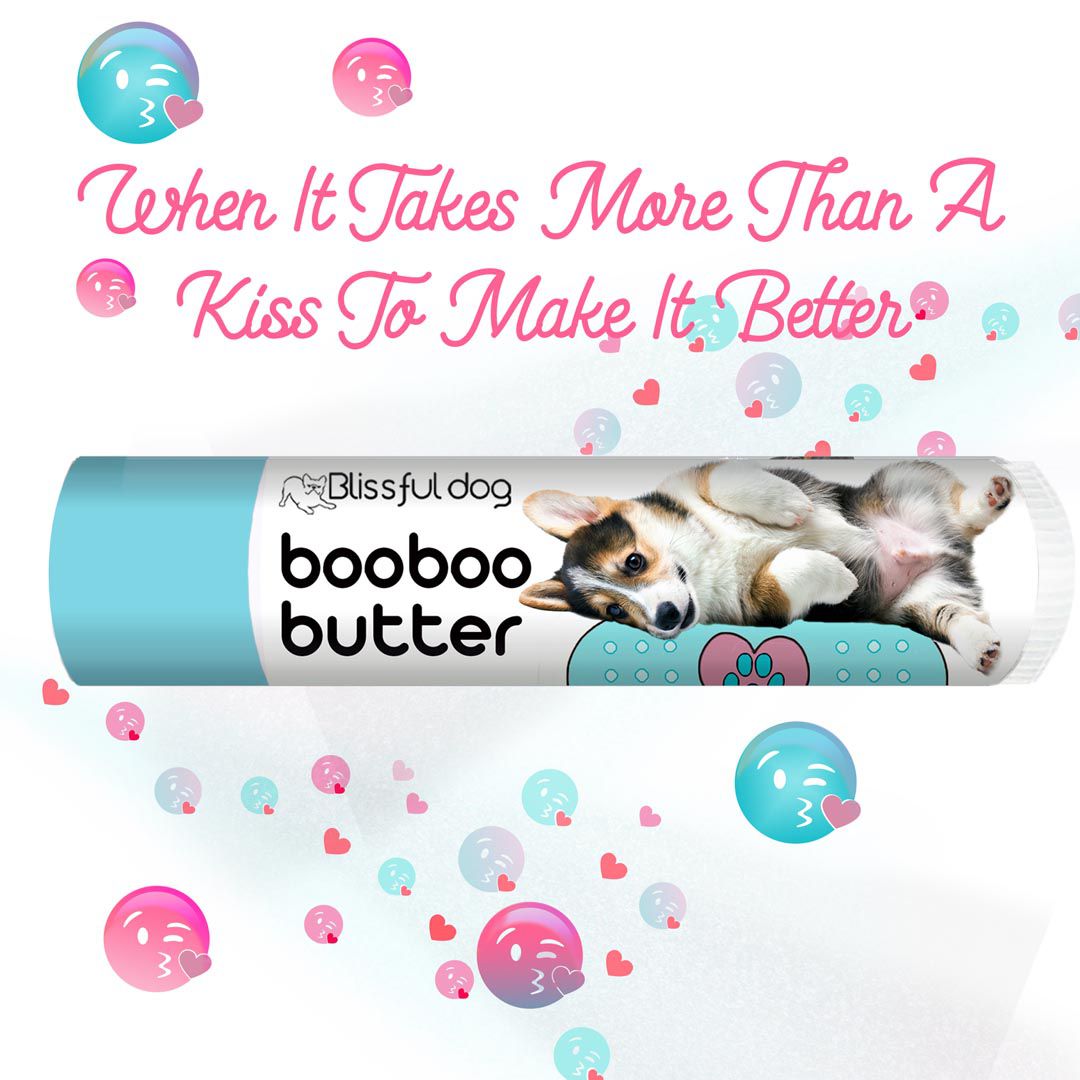 https://theblissfuldog.com/cdn/shop/products/CORGI_KISS_BOOBOO_15TUBE_2500_1200x.jpg?v=1647020788