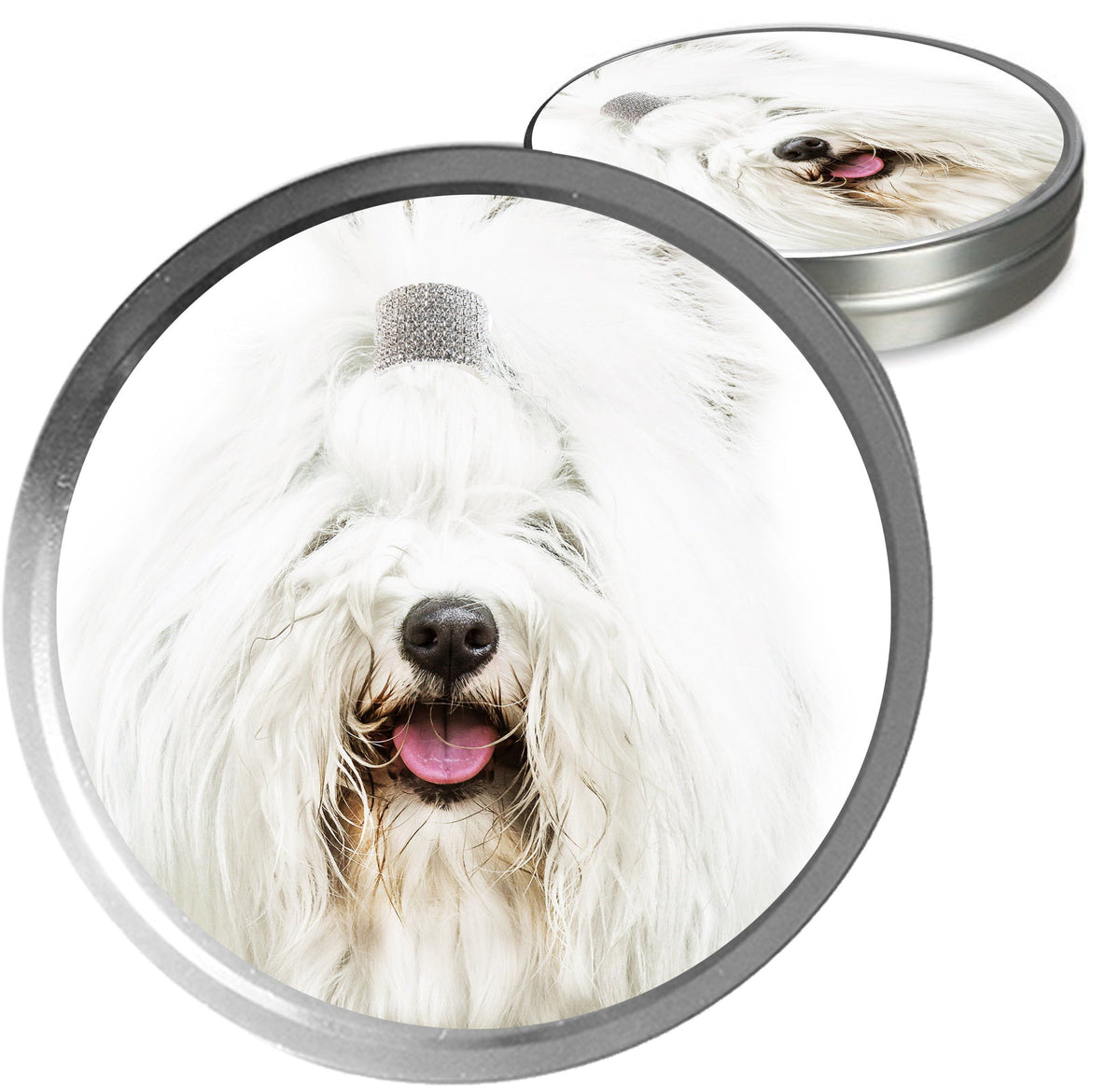 coton de tulear face