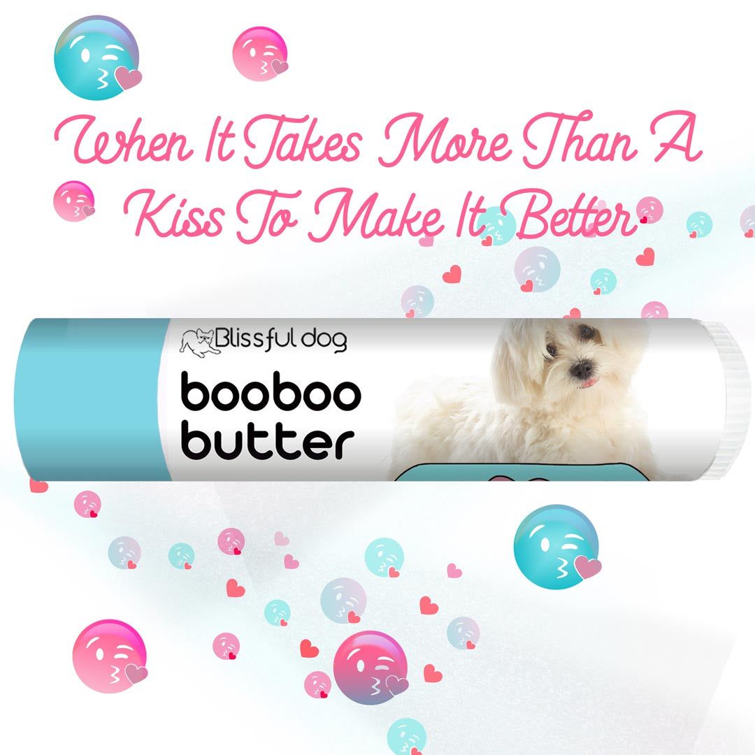 Chapstick for clearance dog paws