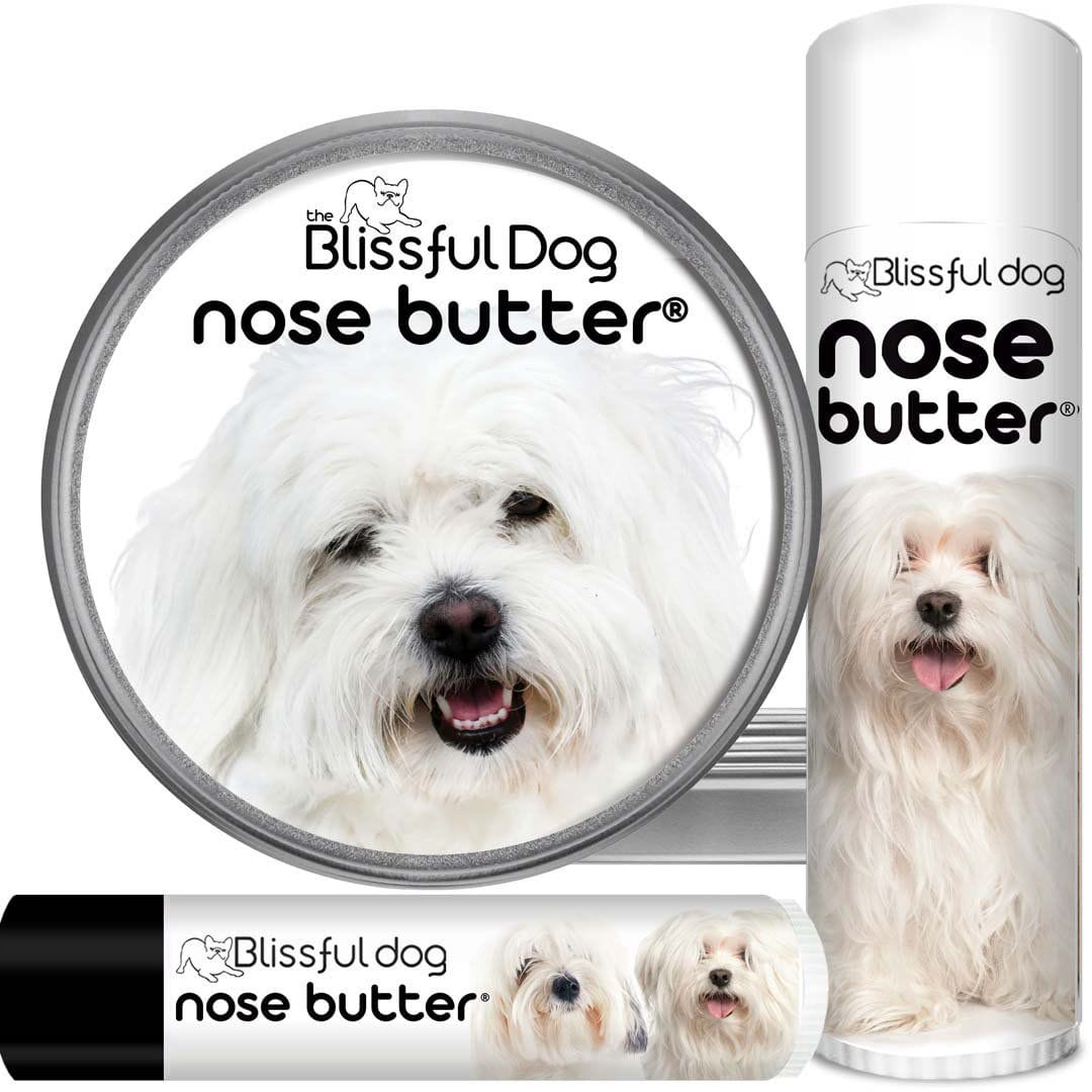 Dog Crusty Nose Remedy for Coton de Tulear Care | The Blissful