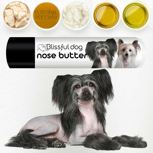 Chinese Crested nose skin care