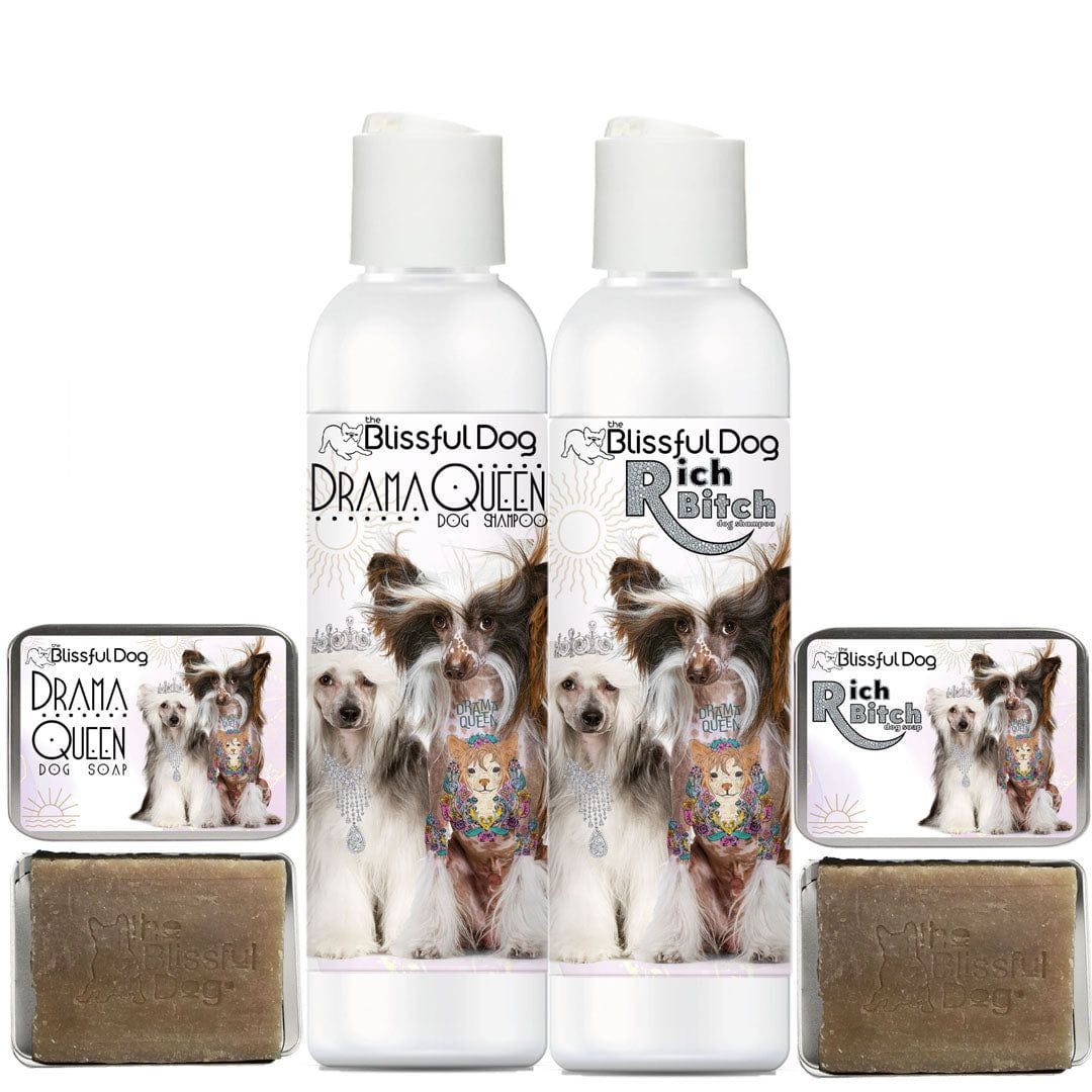 Chinese Crested shampoo