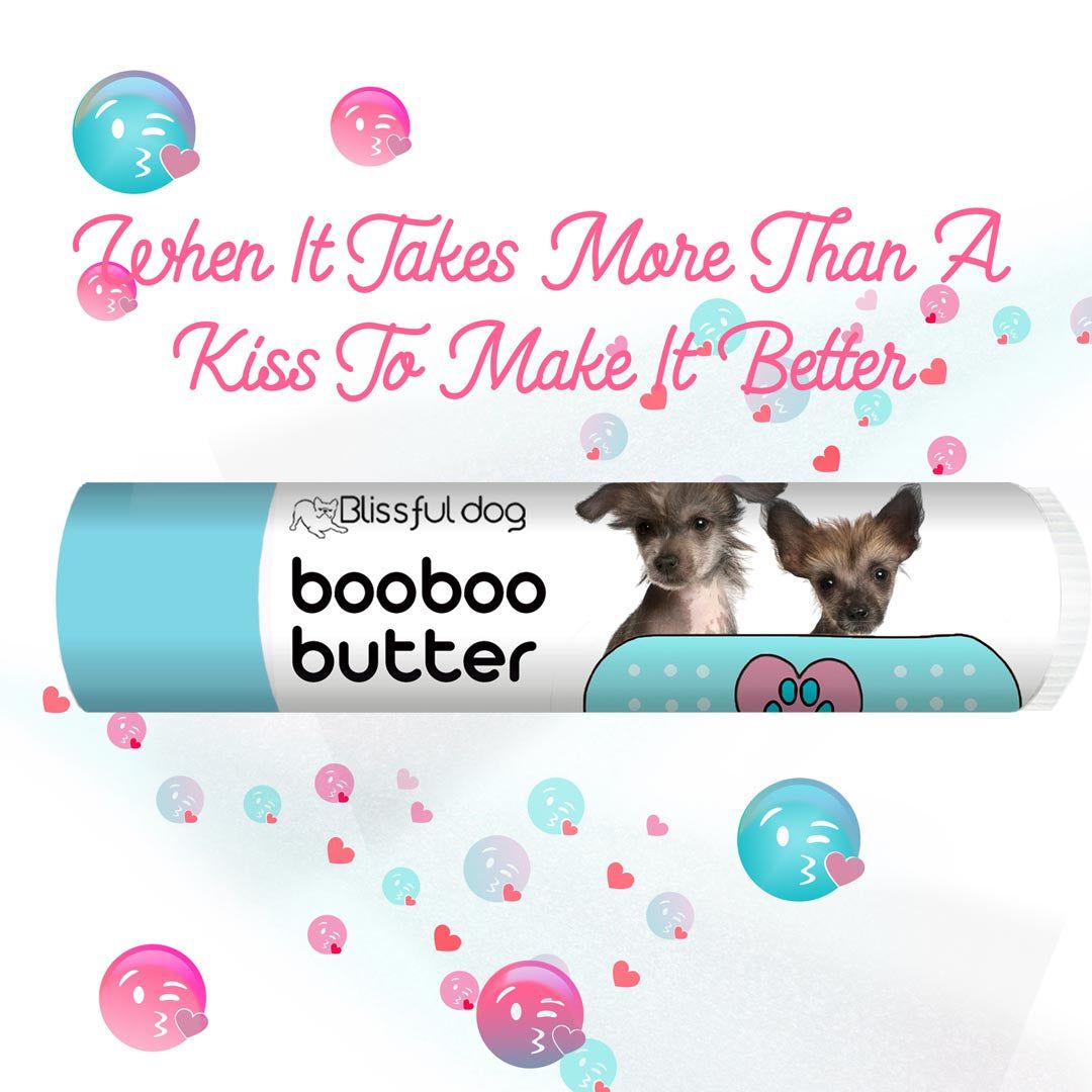 chinese crested skin care