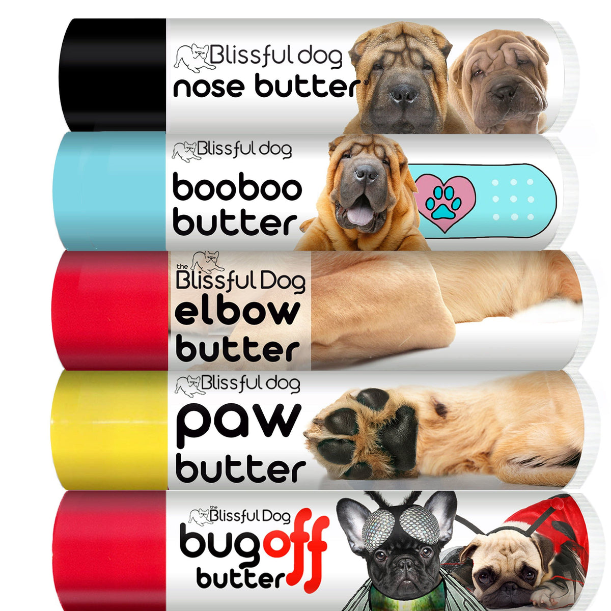 chinese shar-pei puppy care