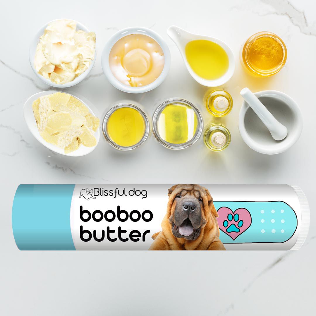 chinese shar-pei itchy skin care