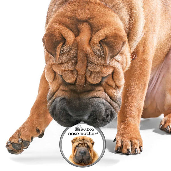 Red nose shar pei clearance