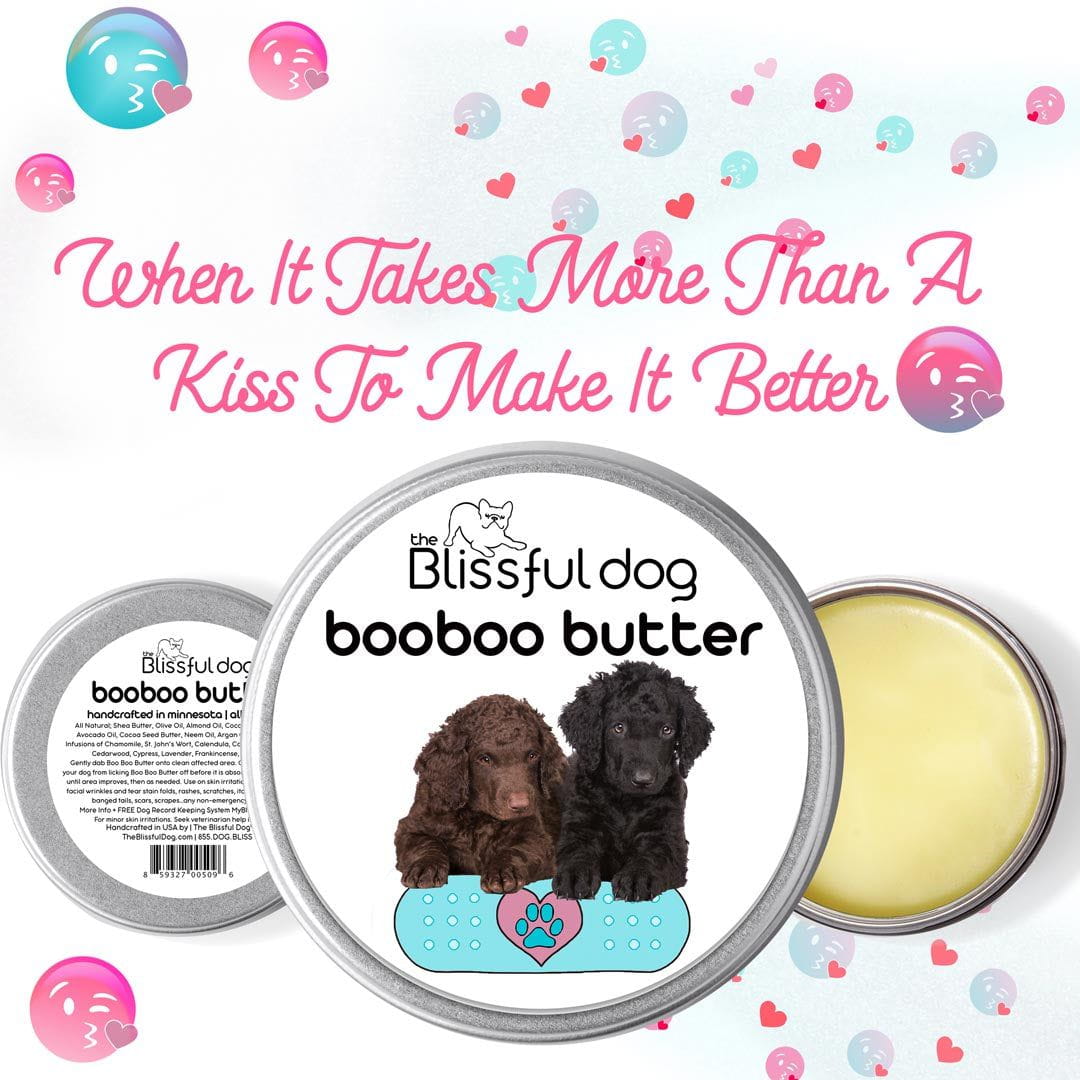 curly coat retriever itchy skin