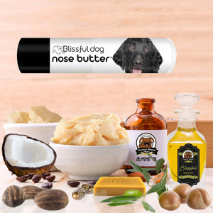 Curly-Coated Retriever nose treatment