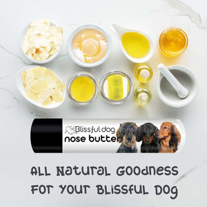 dachshund nose dryness help