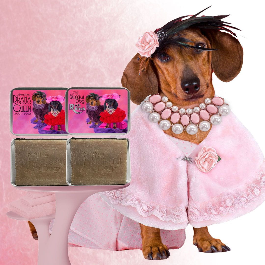 Best dog shampoo for 2024 dachshunds