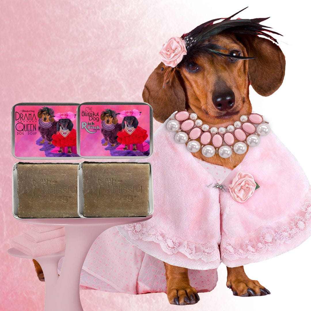 The Blissful Dog Dachshund Dog Shampoo Cleanses All Coat Types